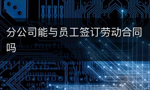 分公司能与员工签订劳动合同吗