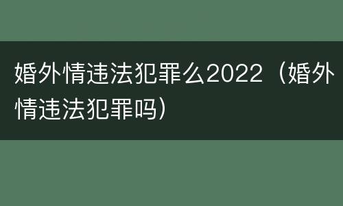 婚外情违法犯罪么2022（婚外情违法犯罪吗）