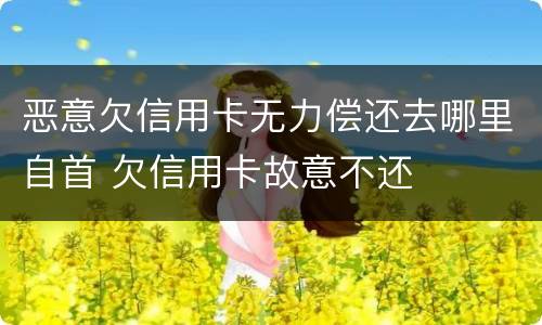 恶意欠信用卡无力偿还去哪里自首 欠信用卡故意不还