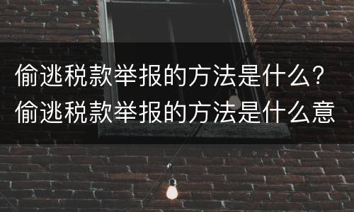 偷逃税款举报的方法是什么? 偷逃税款举报的方法是什么意思
