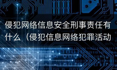 侵犯网络信息安全刑事责任有什么（侵犯信息网络犯罪活动罪）