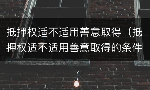 抵押权适不适用善意取得（抵押权适不适用善意取得的条件）