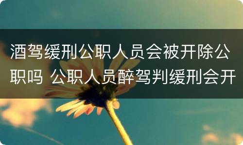 酒驾缓刑公职人员会被开除公职吗 公职人员醉驾判缓刑会开除公职吗