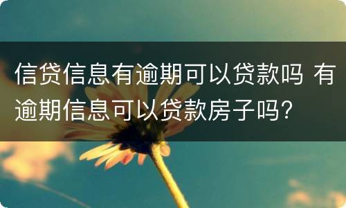 信贷信息有逾期可以贷款吗 有逾期信息可以贷款房子吗?