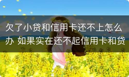 欠了小贷和信用卡还不上怎么办 如果实在还不起信用卡和贷款怎么办