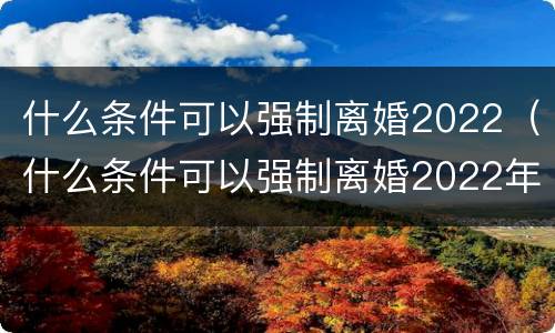 什么条件可以强制离婚2022（什么条件可以强制离婚2022年）