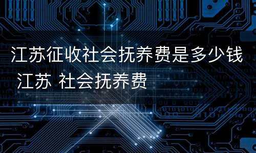 江苏征收社会抚养费是多少钱 江苏 社会抚养费