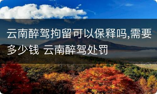 云南醉驾拘留可以保释吗,需要多少钱 云南醉驾处罚