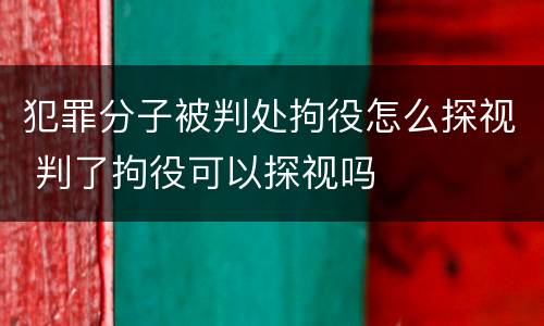 犯罪分子被判处拘役怎么探视 判了拘役可以探视吗