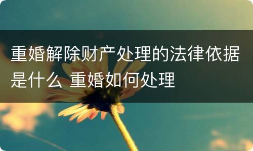 重婚解除财产处理的法律依据是什么 重婚如何处理