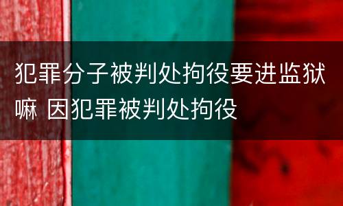 犯罪分子被判处拘役要进监狱嘛 因犯罪被判处拘役