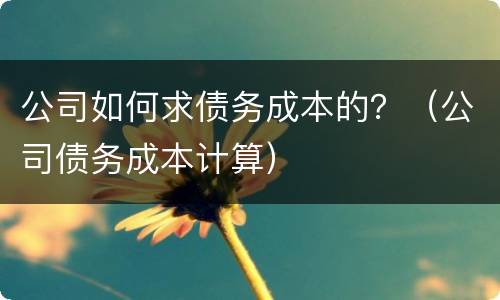 公司如何求债务成本的？（公司债务成本计算）