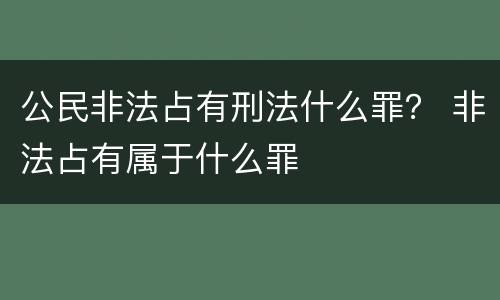 公民非法占有刑法什么罪？ 非法占有属于什么罪