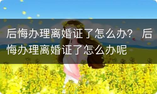 后悔办理离婚证了怎么办？ 后悔办理离婚证了怎么办呢