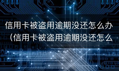 信用卡被盗用逾期没还怎么办（信用卡被盗用逾期没还怎么办理）