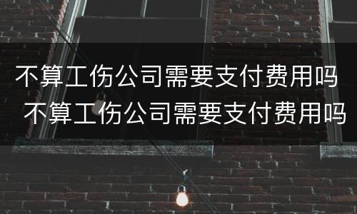 不算工伤公司需要支付费用吗 不算工伤公司需要支付费用吗