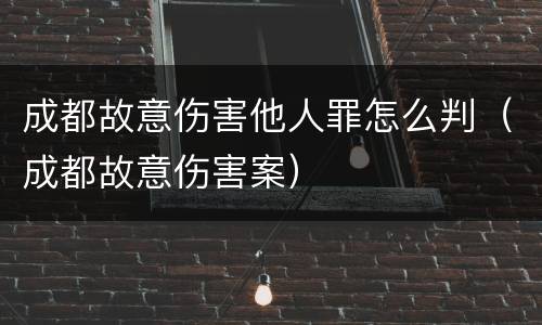 成都故意伤害他人罪怎么判（成都故意伤害案）