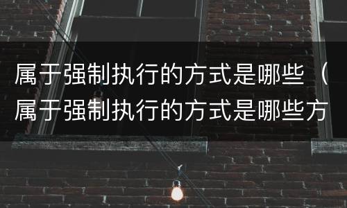 属于强制执行的方式是哪些（属于强制执行的方式是哪些方面）