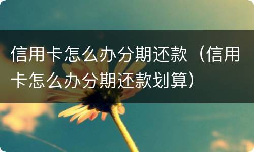 信用卡怎么办分期还款（信用卡怎么办分期还款划算）