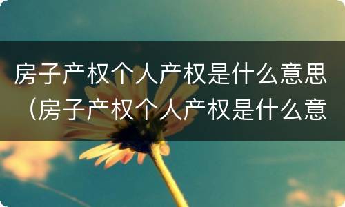 房子产权个人产权是什么意思（房子产权个人产权是什么意思啊）