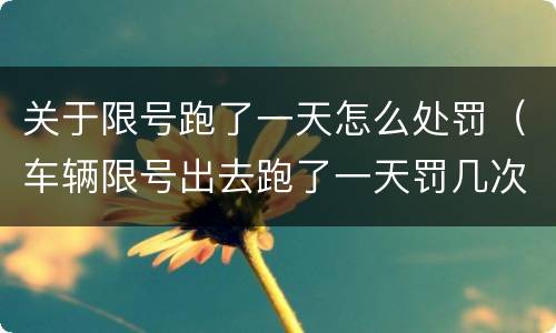 关于限号跑了一天怎么处罚（车辆限号出去跑了一天罚几次）