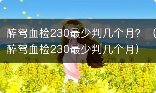 醉驾血检230最少判几个月？（醉驾血检230最少判几个月）