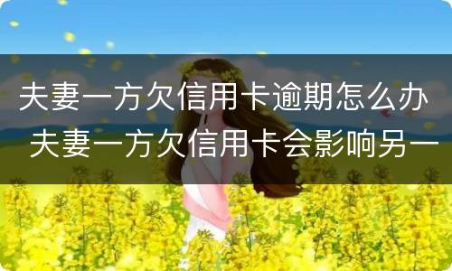 夫妻一方欠信用卡逾期怎么办 夫妻一方欠信用卡会影响另一方吗