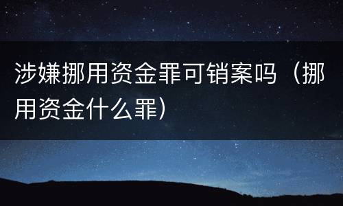涉嫌挪用资金罪可销案吗（挪用资金什么罪）