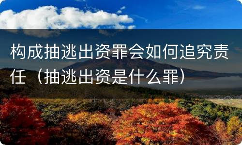 构成抽逃出资罪会如何追究责任（抽逃出资是什么罪）