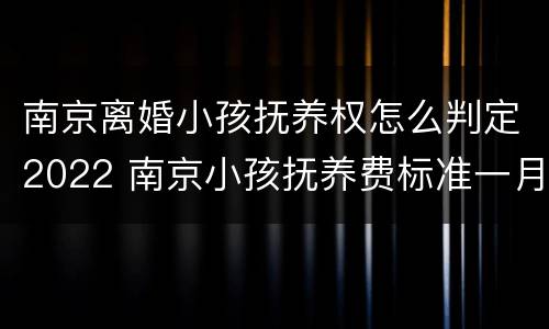 南京离婚小孩抚养权怎么判定2022 南京小孩抚养费标准一月多少钱