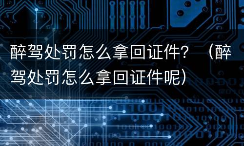 醉驾处罚怎么拿回证件？（醉驾处罚怎么拿回证件呢）