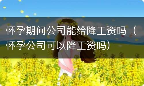 怀孕期间公司能给降工资吗（怀孕公司可以降工资吗）
