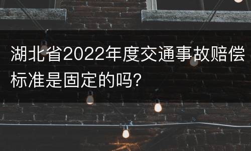 湖北省2022年度交通事故赔偿标准是固定的吗？