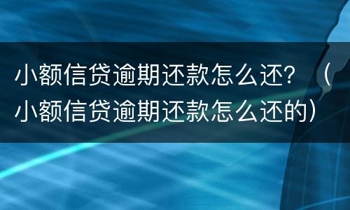 小额信贷逾期还款怎么还？（小额信贷逾期还款怎么还的）