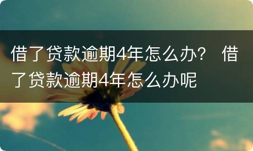 借了贷款逾期4年怎么办？ 借了贷款逾期4年怎么办呢