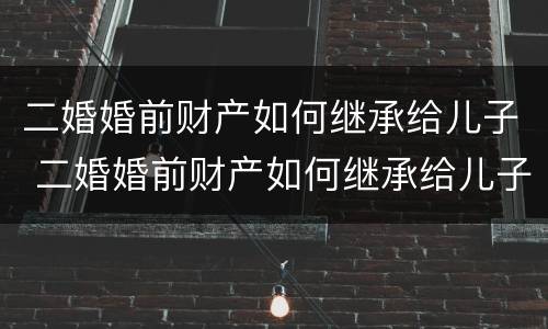 二婚婚前财产如何继承给儿子 二婚婚前财产如何继承给儿子女儿