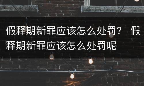 假释期新罪应该怎么处罚？ 假释期新罪应该怎么处罚呢
