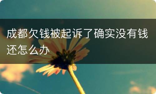 成都欠钱被起诉了确实没有钱还怎么办