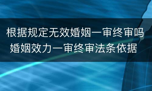 根据规定无效婚姻一审终审吗 婚姻效力一审终审法条依据