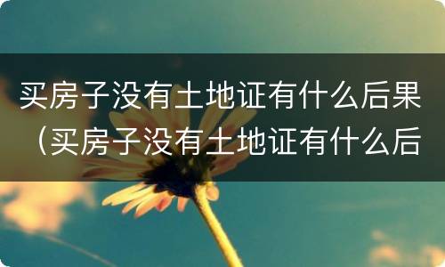 买房子没有土地证有什么后果（买房子没有土地证有什么后果吗）