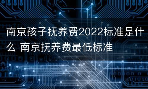 南京孩子抚养费2022标准是什么 南京抚养费最低标准