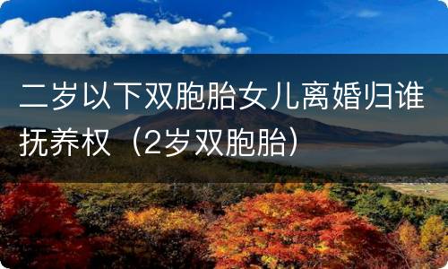二岁以下双胞胎女儿离婚归谁抚养权（2岁双胞胎）