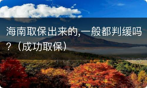 海南取保出来的,一般都判缓吗?（成功取保）