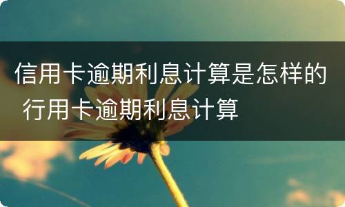 信用卡逾期利息计算是怎样的 行用卡逾期利息计算