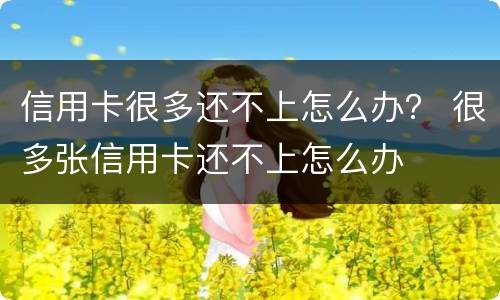 信用卡很多还不上怎么办？ 很多张信用卡还不上怎么办