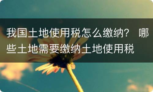 我国土地使用税怎么缴纳？ 哪些土地需要缴纳土地使用税