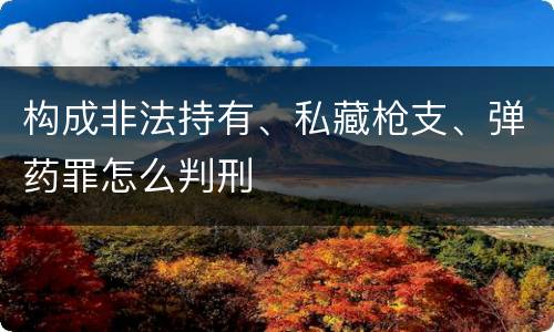 构成非法持有、私藏枪支、弹药罪怎么判刑