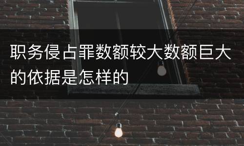 职务侵占罪数额较大数额巨大的依据是怎样的