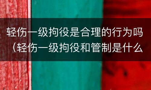 轻伤一级拘役是合理的行为吗（轻伤一级拘役和管制是什么意思）