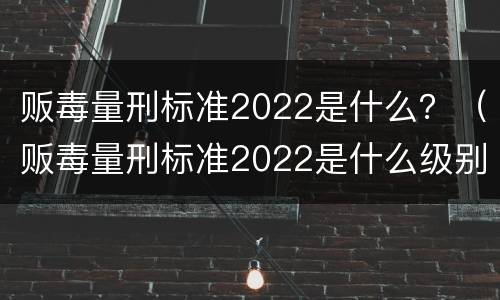 贩毒量刑标准2022是什么？（贩毒量刑标准2022是什么级别）